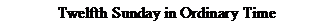 Text Box: Twelfth Sunday in Ordinary Time