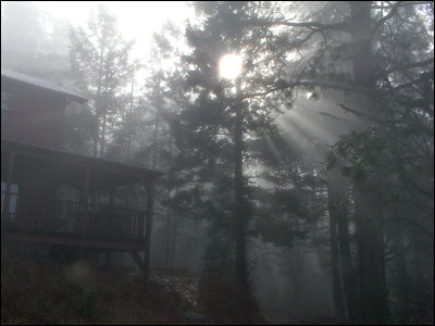 Photo.