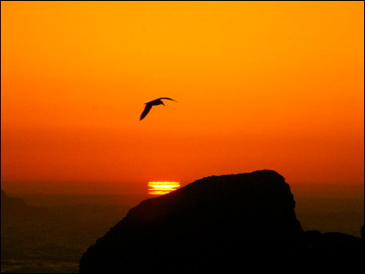 Photo.