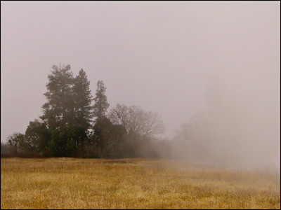 Photo.