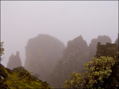 Photo.
