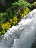 Image.