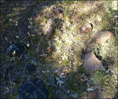 Photo.