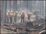 Oregon Gulch Fire. Photo.