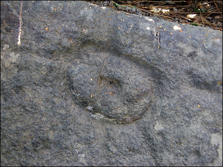 Image.