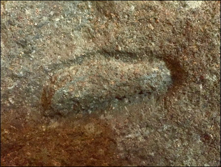 Image.